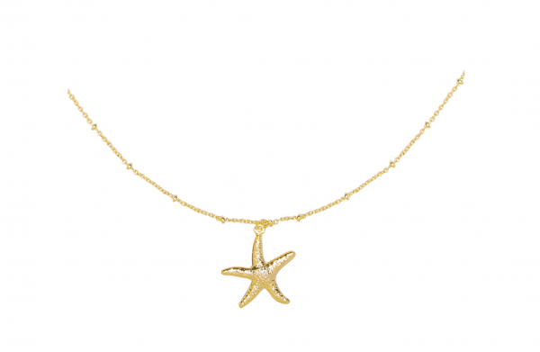 Ketting Starfish wish goud