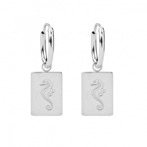 Oorbellen Vitamin Sea zilver
