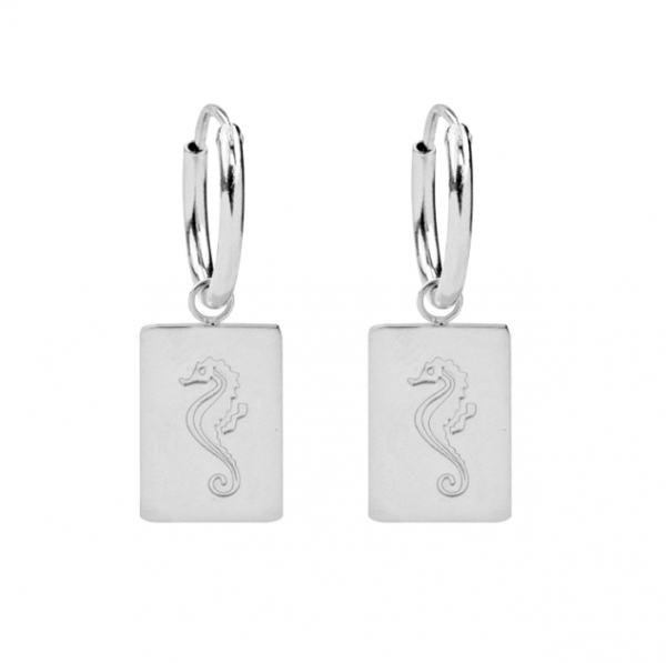 Oorbellen Vitamin Sea zilver