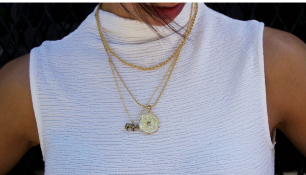 Ketting wild tiger goud