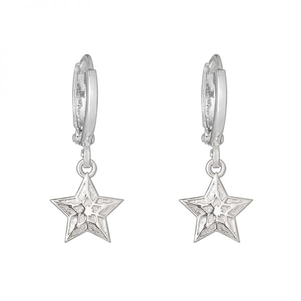 Oorbellen Sparkling Star