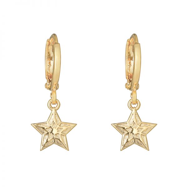 Oorbellen Sparkling Star